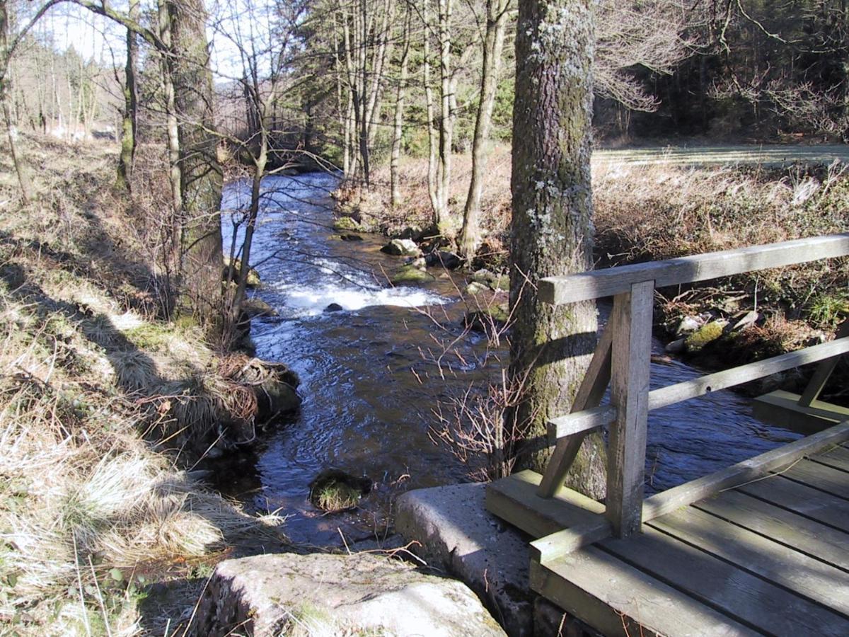 Ferienwohnung Kuckuck Auf Dem Sommerberg Incl Schwarzwaldcard Plus - 2 Zimmer 50Qm Bad Wildbad Exteriér fotografie