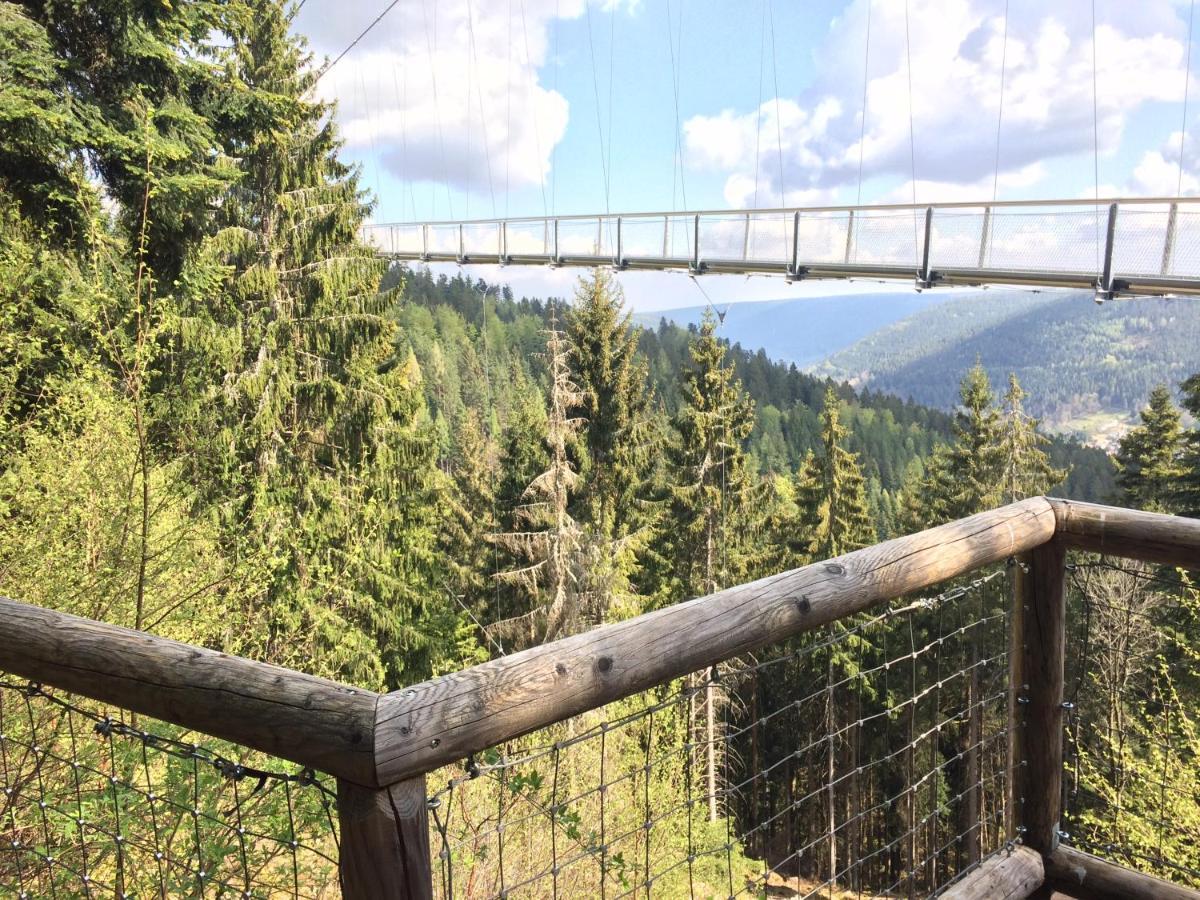 Ferienwohnung Kuckuck Auf Dem Sommerberg Incl Schwarzwaldcard Plus - 2 Zimmer 50Qm Bad Wildbad Exteriér fotografie